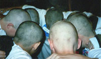storage-users-2-2-images-2938-seven-bald-heads-close-up