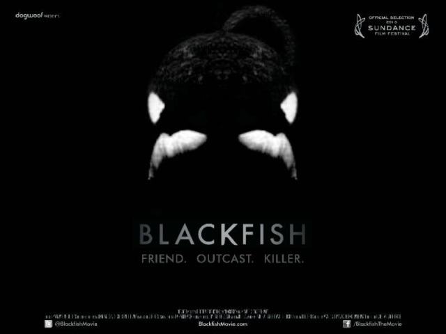 Blackfish: Documentary Or Propaganda? | Skeptoid