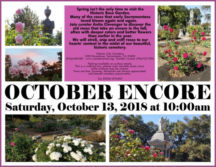 October Encore In The Rose Garden Sacramento