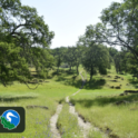 Deer Creek Hills Preserve SATURDAYS