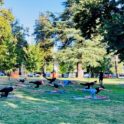 Fresh Air: Fremont Park (Yoga, Etc.)