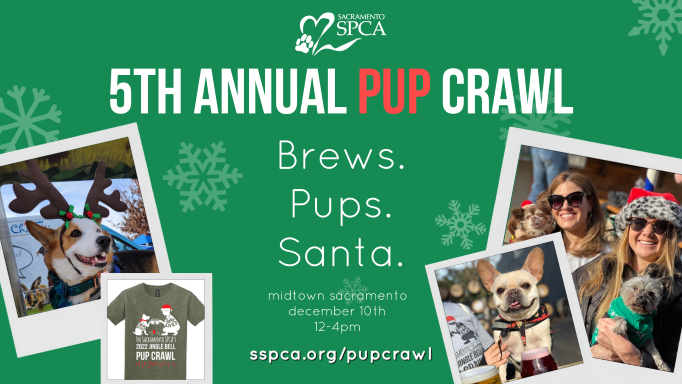 Sacramento SPCA\'s 5th Annual Jingle Bell Pup Crawl
