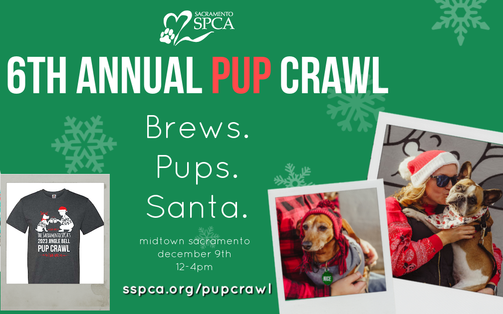 6th Annual Sacramento SPCA Jingle Bell Pup Crawl