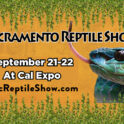 Sacramento Reptile Show @ Cal Expo