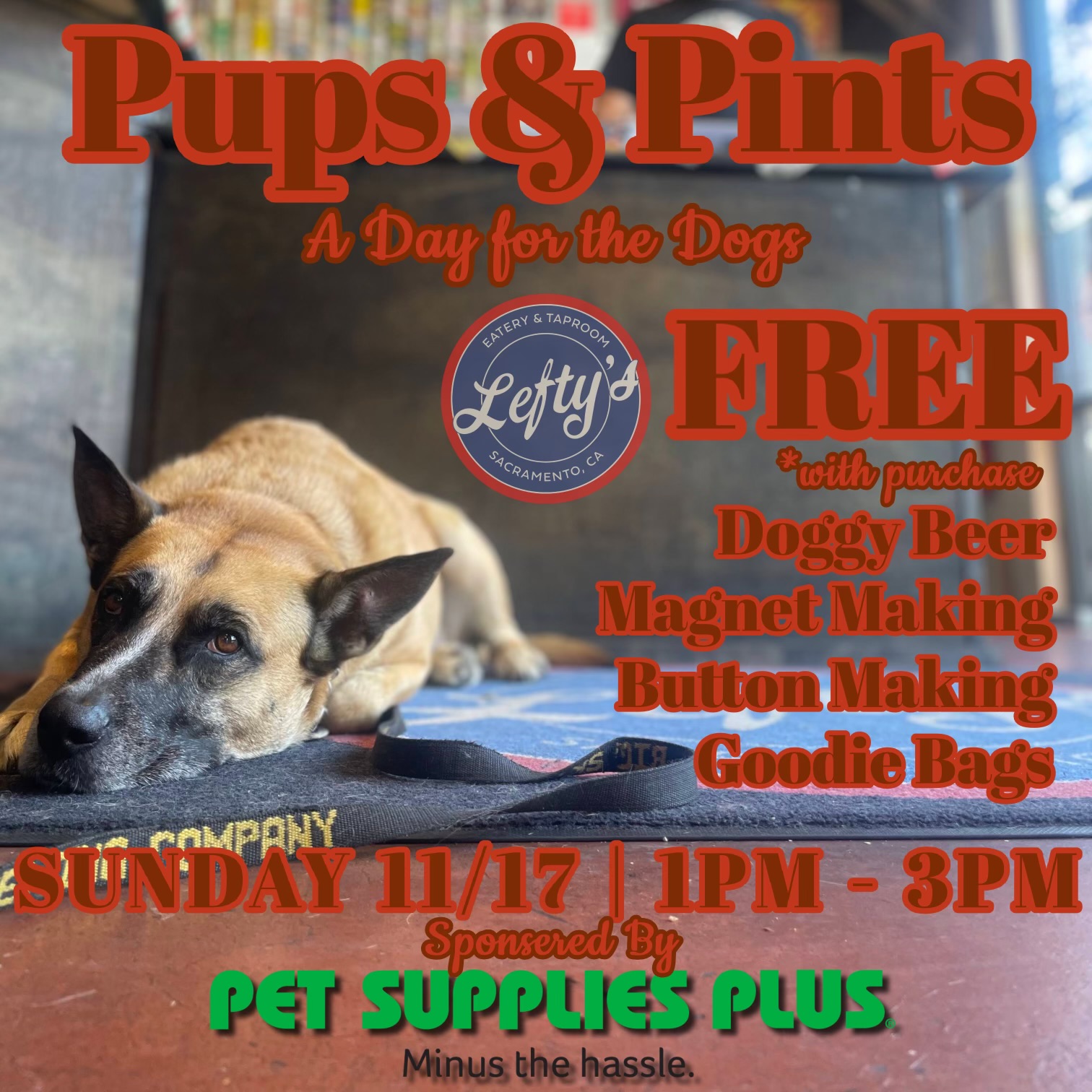 PUPS & PINTS @ Lefty's Taproom